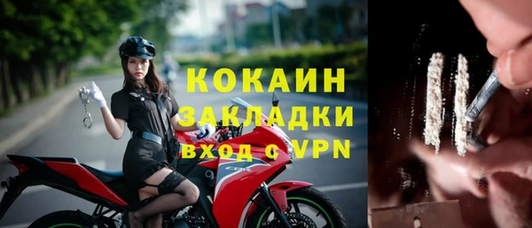 дживик Осинники