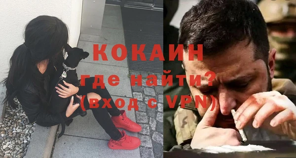 дживик Осинники