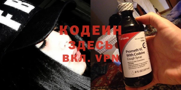дживик Осинники