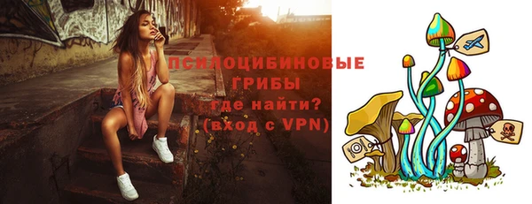 наркотики Болотное